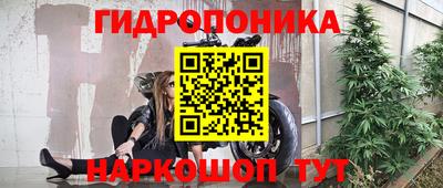 крисы Бузулук