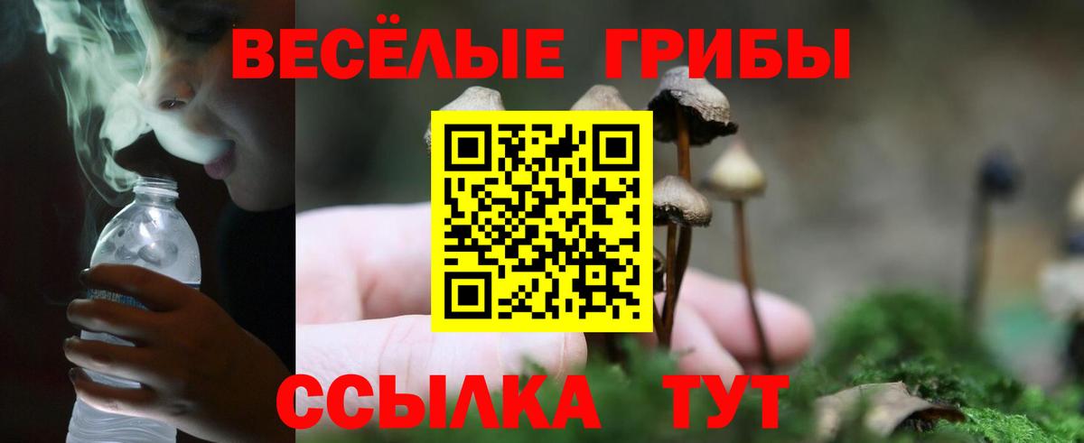 Галлюциногенные грибы MAGIC MUSHROOMS  Галлюциногенные грибы Psilocybe  Скопин  Вход с VPN 